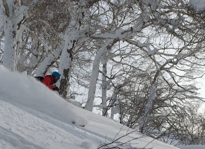 Japan Powder Skiing